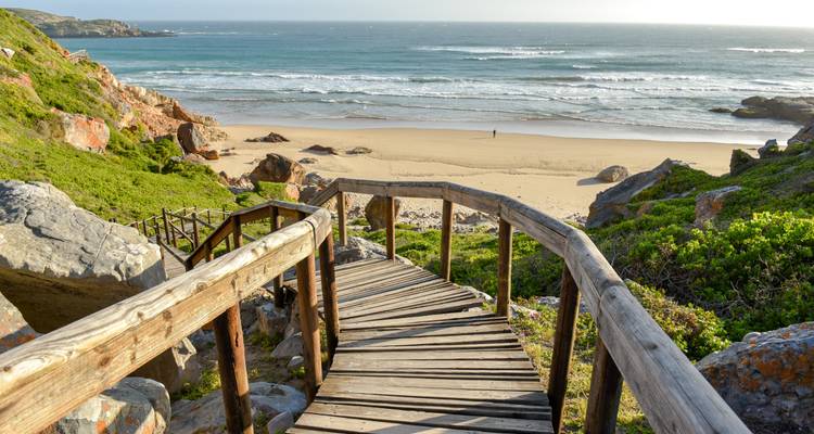Un escalier en bois descend à travers la verdure vers une plage de sable tranquille et des vagues déferlantes sur la Route des Jardins.