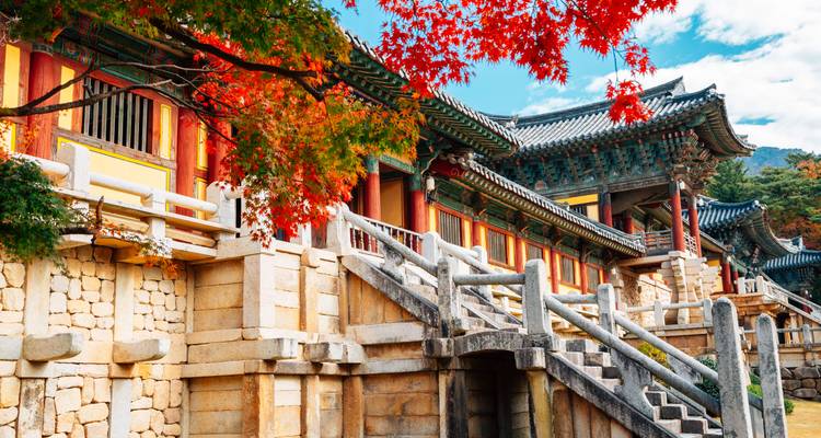 Escaliers en pierre historiques du temple Bulguksa encadrés par un feuillage automnal éclatant sous un ciel lumineux.