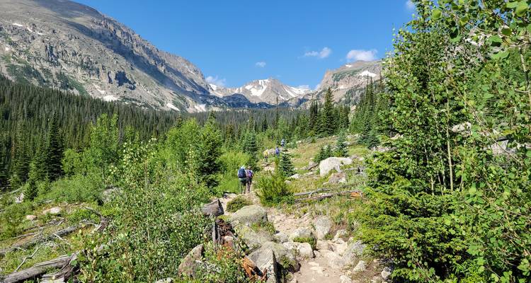 Randonneurs de montagne marchant sur un sentier rocheux en forêt avec des sommets imposants et une vallée alpine sous un ciel bleu dégagé.