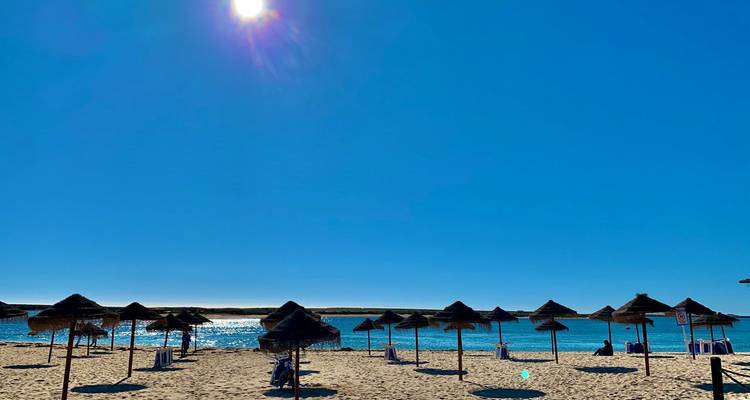 Large plage de sable parsemée de parasols de paille scintillant sous le soleil éclatant de midi et le ciel bleu.