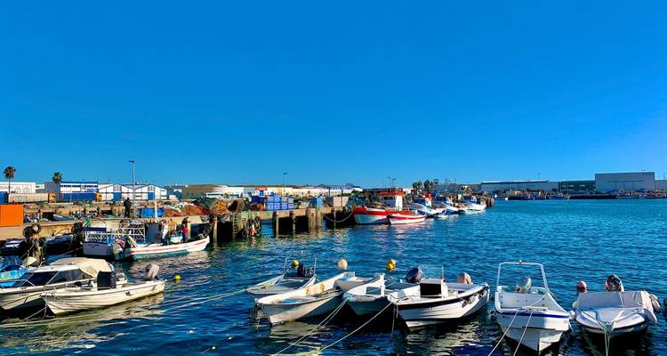 De petits bateaux de pêche bordent un port bleu vif sous un ciel parfaitement dégagé.