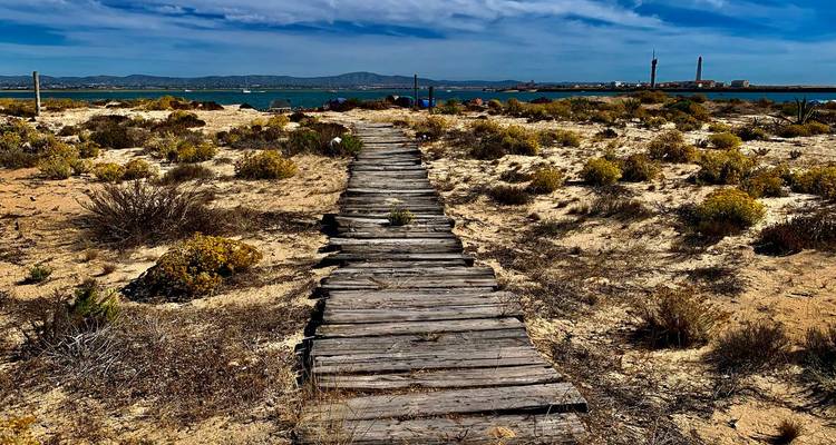 Une promenade en bois patiné mène à travers les broussailles sablonneuses vers l'eau lointaine et les montagnes basses.