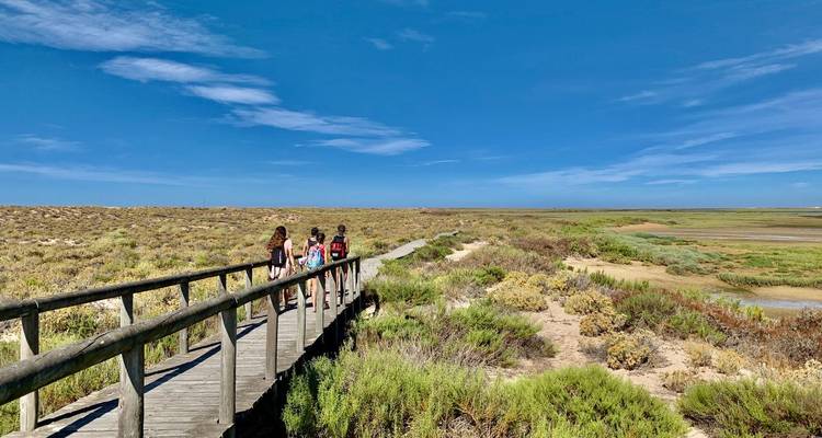 Trois marcheurs traversent une passerelle en bois à travers des broussailles côtières sous un vaste ciel bleu