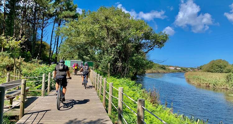 Los ciclistas recorren un sendero de madera junto a un río tranquilo bordeado de árboles frondosos y helechos