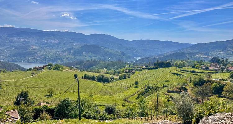 Weitblick über terrassierte Weinberge, Dörfer und einen sich windenden Fluss in einem grünen Bergtal