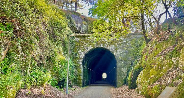 Ein belaubter Bahntrassenweg führt durch einen Steintunnel, der in einen moosbedeckten Hang gehauen wurde
