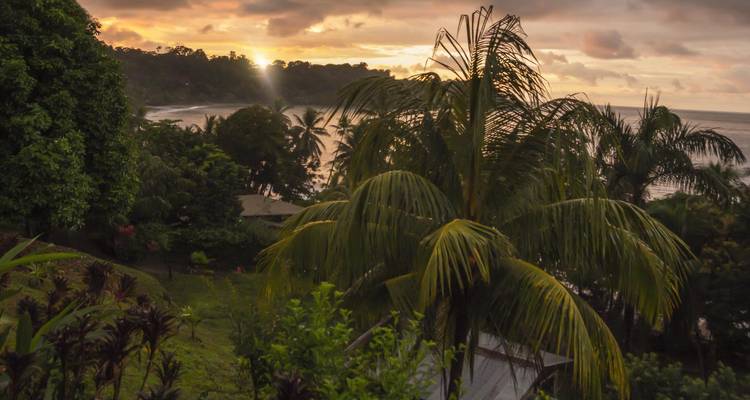 La lumière du coucher de soleil filtre à travers les palmiers et une crique tropicale isolée.