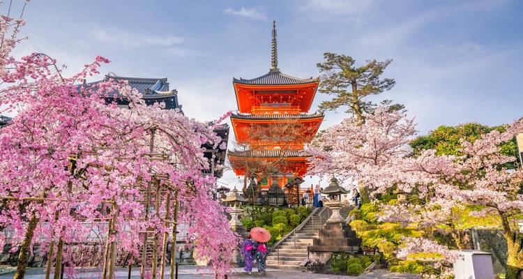 Levendige Kiyomizu-dera pagode omlijst door bloeiende roze kersenbloesems en bezoekers eronder.