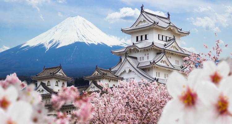Castillo japonés blanco con cerezos en flor y el Monte Fuji nevado de fondo.