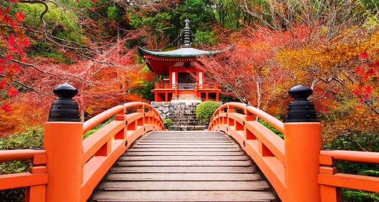 Puente rojo vívido que conduce a un pequeño pabellón de templo rodeado de follaje otoñal ardiente reflejado en el agua.