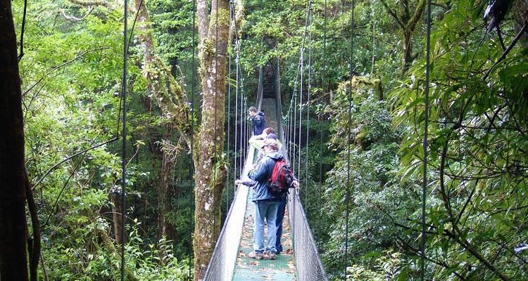 Des randonneurs traversent un pont suspendu étroit entouré d'une forêt nuageuse dense.