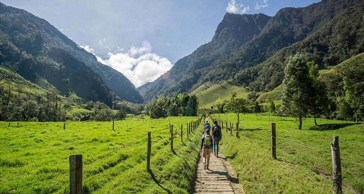 Les randonneurs suivent un sentier de terre à travers de luxuriantes prairies vertes encadrées par les sommets andins.