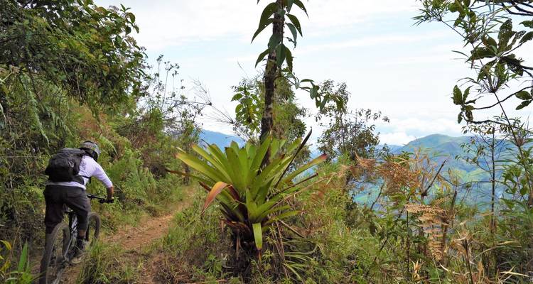 Radfahrer fährt auf einem schmalen Dschungelpfad, umgeben von dichter grüner Vegetation und fernen Bergen