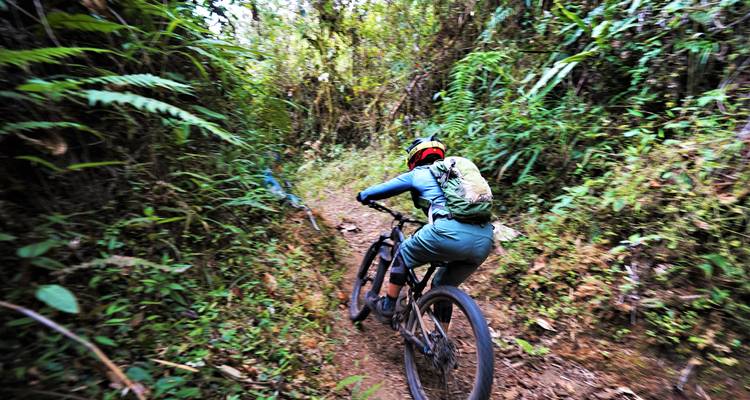 Bewegungsunscharf aufgenommenes Bild eines Radfahrers, der auf einem schmalen Pfad durch dichte Dschungelvegetation rast