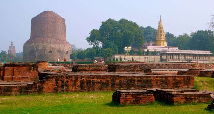 Große zylindrische Ziegelstupa und umliegende Ruinen inmitten grüner Rasenflächen in Sarnath.