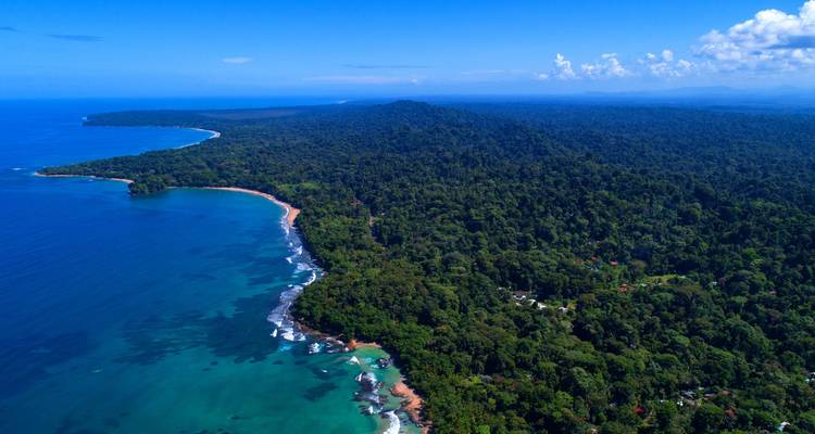Panorama aérien d'un littoral de forêt tropicale verdoyante avec une mer turquoise sous un ciel bleu dégagé.