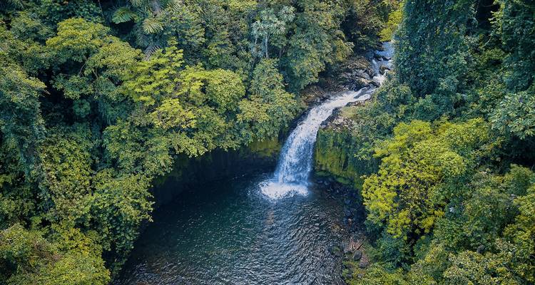 Vue aérienne d'une cascade de forêt tropicale luxuriante tombant dans un bassin circulaire entouré d'un feuillage dense et vert.