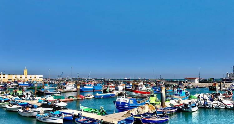 Bunte Fischerboote dicht gedrängt in einem leuchtend blauen Hafen unter einem klaren Himmel.