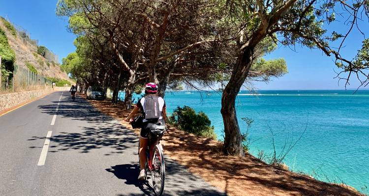 Radfahrer tritt in die Pedale entlang einer Küstenstraße, die von Kiefern beschattet wird, mit leuchtend blauem Wasser darunter.