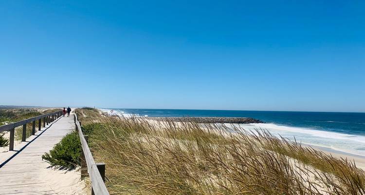 Langer Holzsteg durch windgepeitschte Gräser, der zu Wellen führt, die an einem Sandstrand brechen.