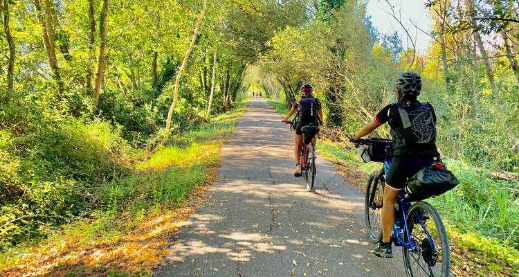 Radfahrer fahren entlang eines schattigen Waldwegs, der mit gefallenen Blättern bedeckt ist, an einem hellen Tag.