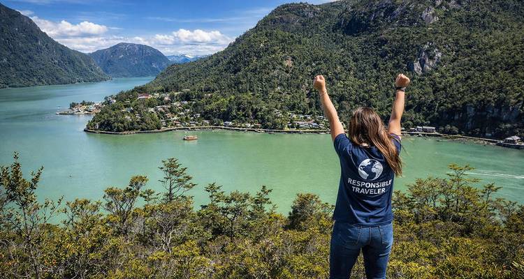 Vue de dos d'une femme aux bras levés célébrant au-dessus d'un fjord turquoise et de montagnes verdoyantes par une journée ensoleillée.