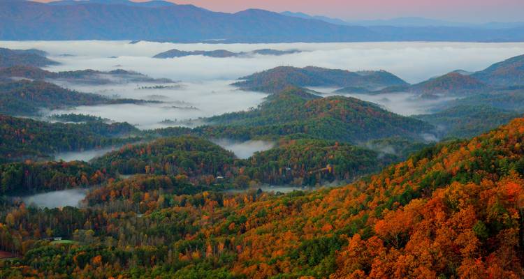 Une vue vaste du lever de soleil sur des vallées ondulantes remplies de brume et de forêts aux couleurs d'automne dans les Great Smoky Mountains.