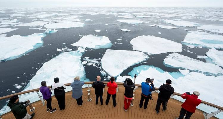 Passagiers op het dek van een schip fotograferen uitgestrekte velden van drijvend Arctisch zee-ijs.