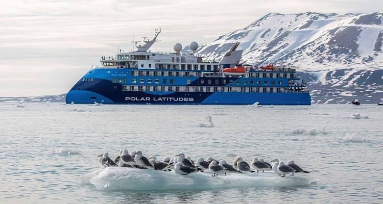 Blauw expeditieschip Polar Latitudes vaart langs drijvend ijs met besneeuwde toppen erachter en zeevogels op een ijsschots op de voorgrond.