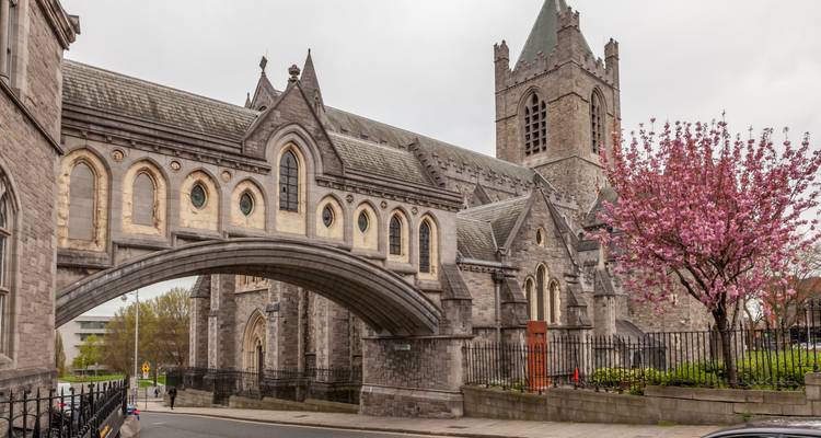 Catedral de Christ Church en Dublín con arco de puente de piedra sobre la calle y árbol de cerezo en flor