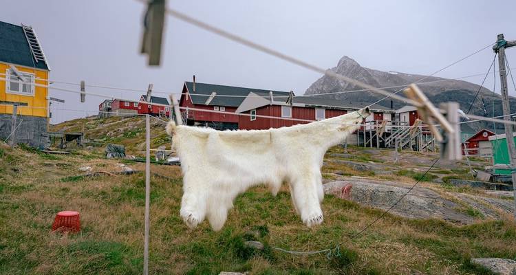 Peau d'animal blanche suspendue à une corde à linge devant des maisons groenlandaises rouges par un jour brumeux.