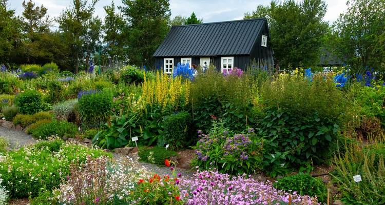 Een schilderachtig huis met zwarte balken staat te midden van een levendige Noordse tuin die barst van de zomerbloemen.