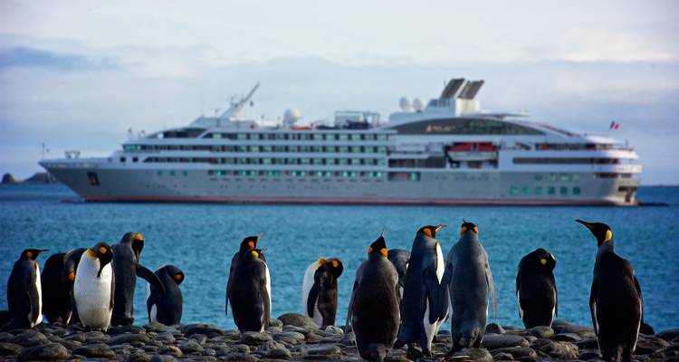 Reihe von Königspinguinen an einer felsigen Küste mit einem Expeditionskreuzfahrtschiff, das in den antarktischen Gewässern dahinter vor Anker liegt.