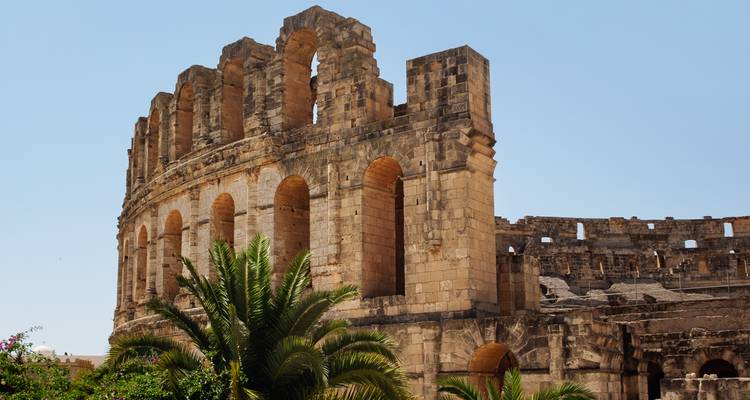 Exterior view of the massive stone arches of El Jem amphitheatre framed by palm fronds against a clear sky