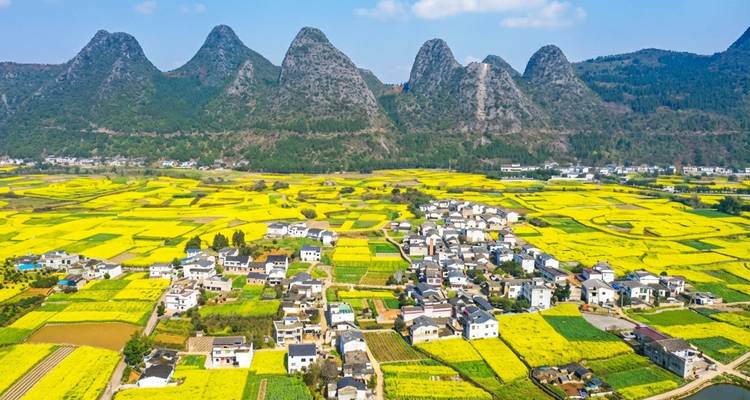 D'immenses champs de colza jaunes s'étendent sous des montagnes karstiques déchiquetées parsemées de petits villages.