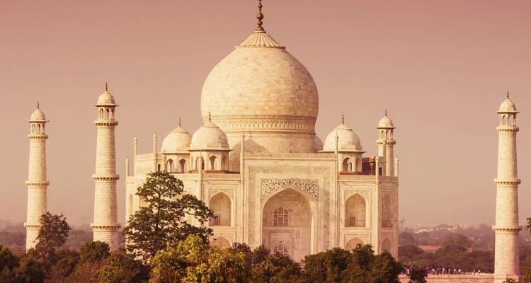 De witte marmeren koepel en minaretten van de Taj Mahal gloeien zacht in het warme zonsopgangslicht boven de boomtoppen.