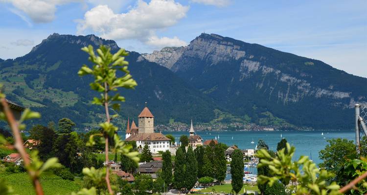 Schilderachtig Zwitsers meer met middeleeuws kasteel en torenhoge groene bergen onder blauwe hemel.