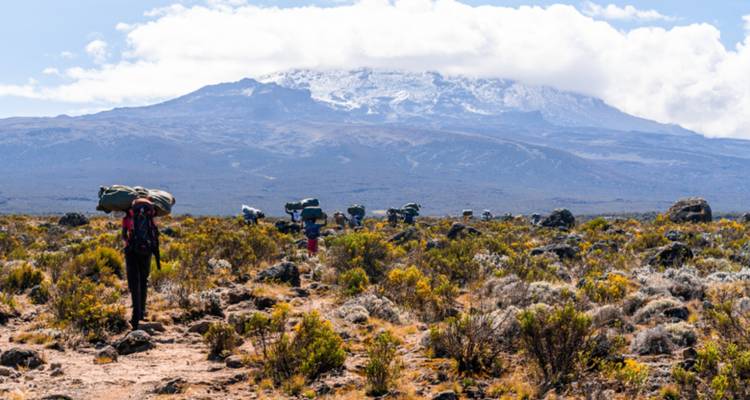 Fila de porteadores cargando mochilas pesadas a través de matorrales con el Monte Kilimanjaro envuelto en nubes al frente
