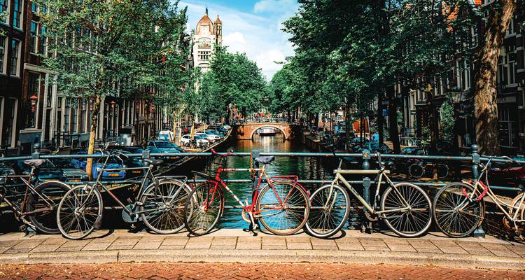 Rangée de vélos enchaînés à un pont surplombant un canal classique d'Amsterdam bordé d'arbres et de bateaux.