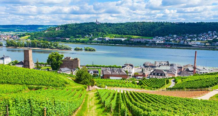 Weelderige groene wijngaarden dalen af naar de Rijn met een pittoresk dorpje en glooiende heuvels in de verte.