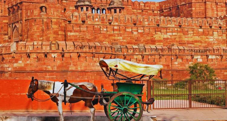 Green horse-drawn carriage parked before the massive red sandstone ramparts of Agra Fort.