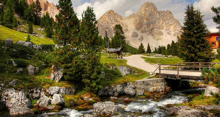 Torrent de montagne cascadant sur les rochers près de pins avec les pics déchiquetés des Dolomites au-delà.