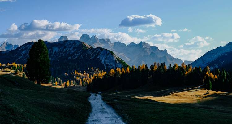 Sentier de gravier serpentant à travers des pâturages alpins vers une crête montagneuse dentelée au loin éclairée par le soleil de fin de journée.