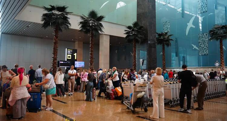 Crowds of travelers with luggage trolleys queue inside a spacious modern airport hall lined with palm trees.
