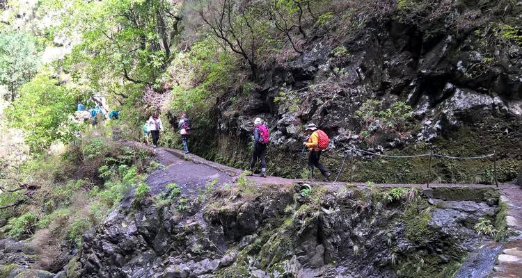 Wandelaars steken een smal stenen levada-pad over dat zich vastklamt aan een bemoste klif te midden van weelderig Madeira-woud.
