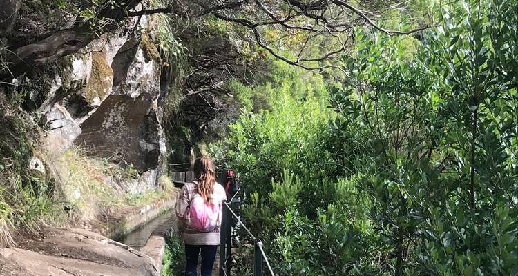 Een eenzame wandelaar met een roze rugzak volgt een beschaduwde levada-kanaal door dichte groene begroeiing.