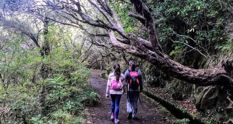 Twee rugzaktoeristen wandelen langs een lommerrijk bospad onder een overhangende bemoste tak naast een levada.