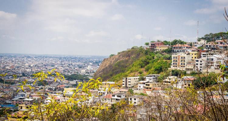 Vista panorámica de la extensa ciudad de Guayaquil con casas aferradas a un acantilado verde