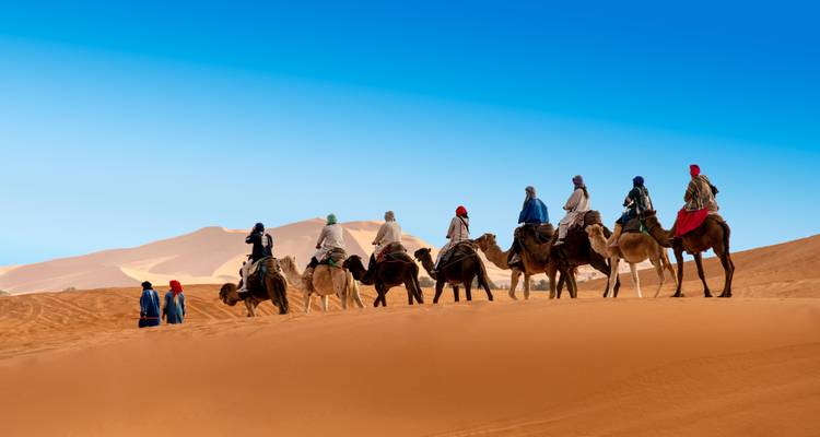 Caravan of camels led by Tuareg guides traverses towering orange dunes under a vivid blue Saharan sky.
