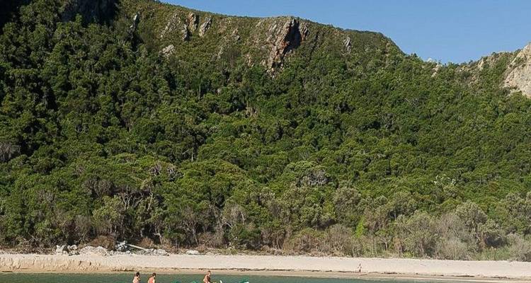 Crique turquoise avec quelques kayakistes sur fond de forêt dense et de falaises rocheuses verdoyantes.